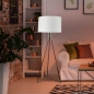 Preview: Lampe