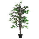 Kunstpflanze Feigenbaum 100,0 x 120,0 (BxH)